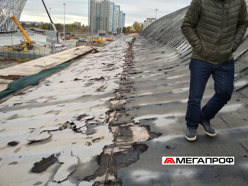 обследование фальцевая